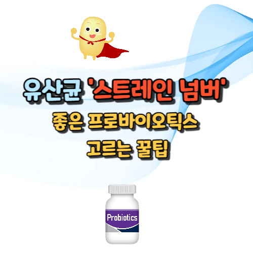 유산균 '스트레인 넘버', 모르면 손해! 좋은 프로바이오틱스 고르는 꿀팁