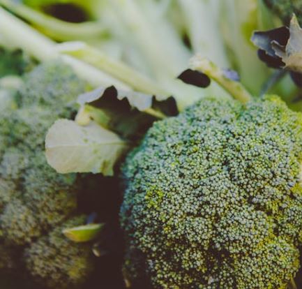 갑상선 항진증에 좋은 음식 10가지