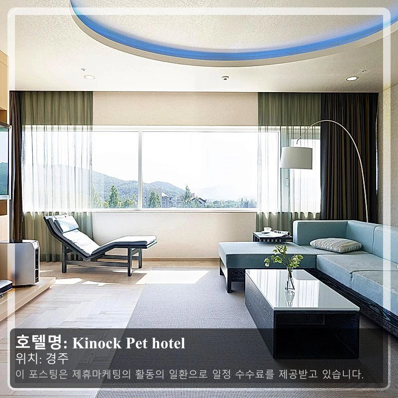 Kinock Pet hotel_1