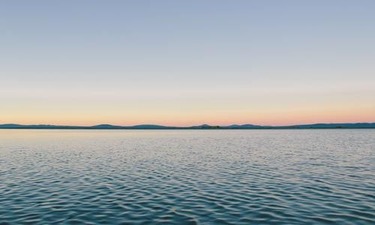 참치 효능 나만 몰랐던 진실 알아보기