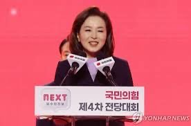 김민전 국회의원 프로필