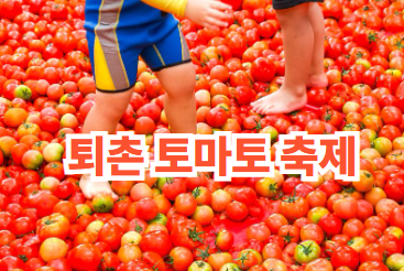 퇴촌 토마토 축제