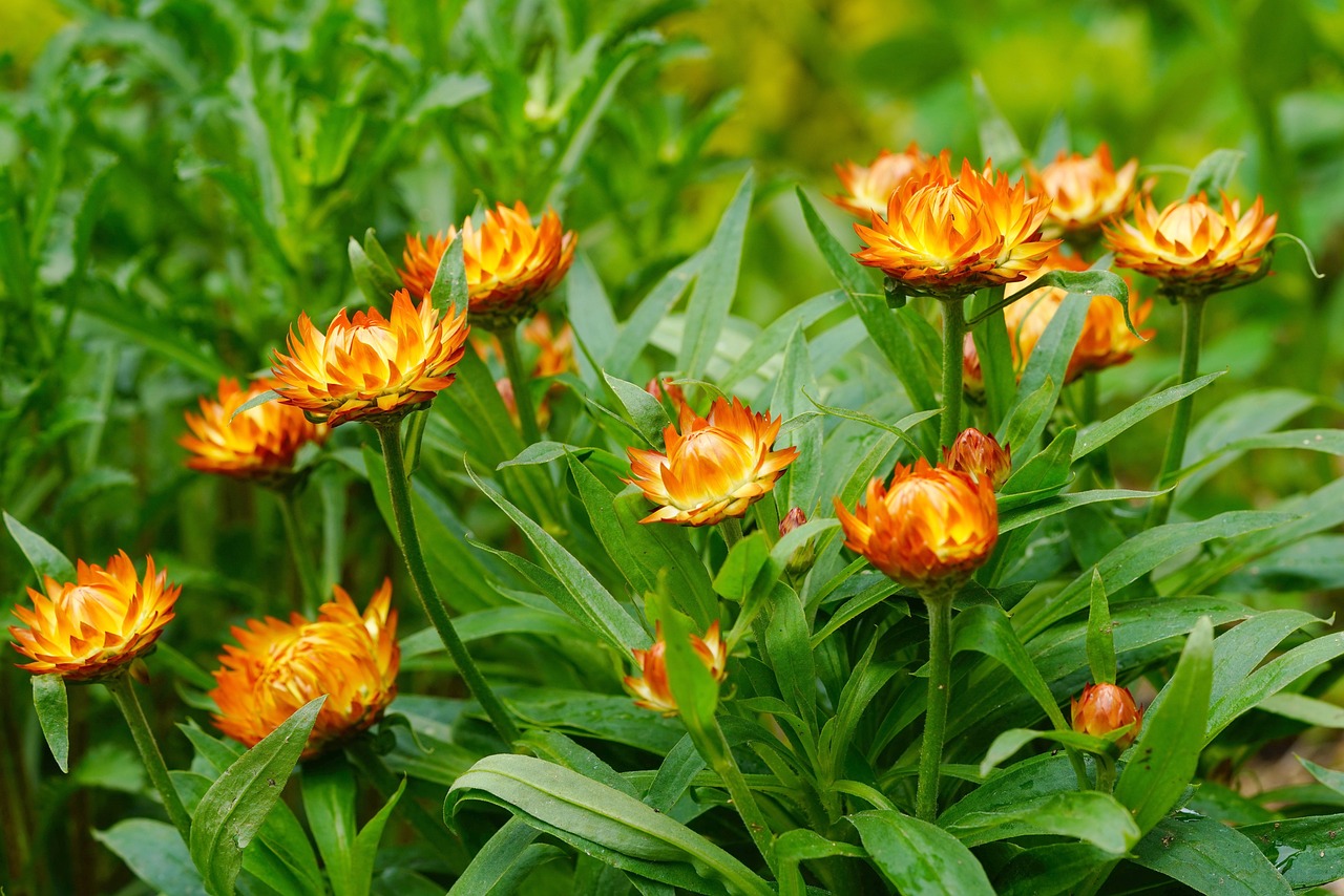 울산 슬도 유채꽃 맛집 방문팁 주차정보 꿀팁 총정리