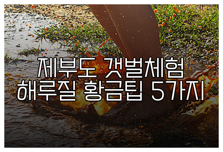 제부도 갯벌체험 해루질 황금팁 5가지