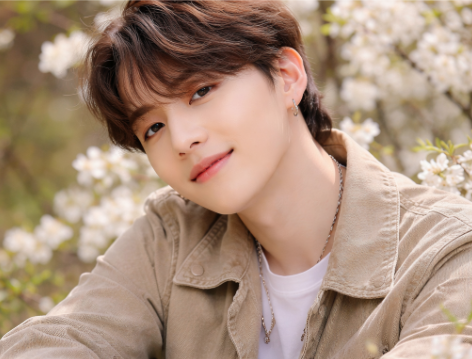 슈가