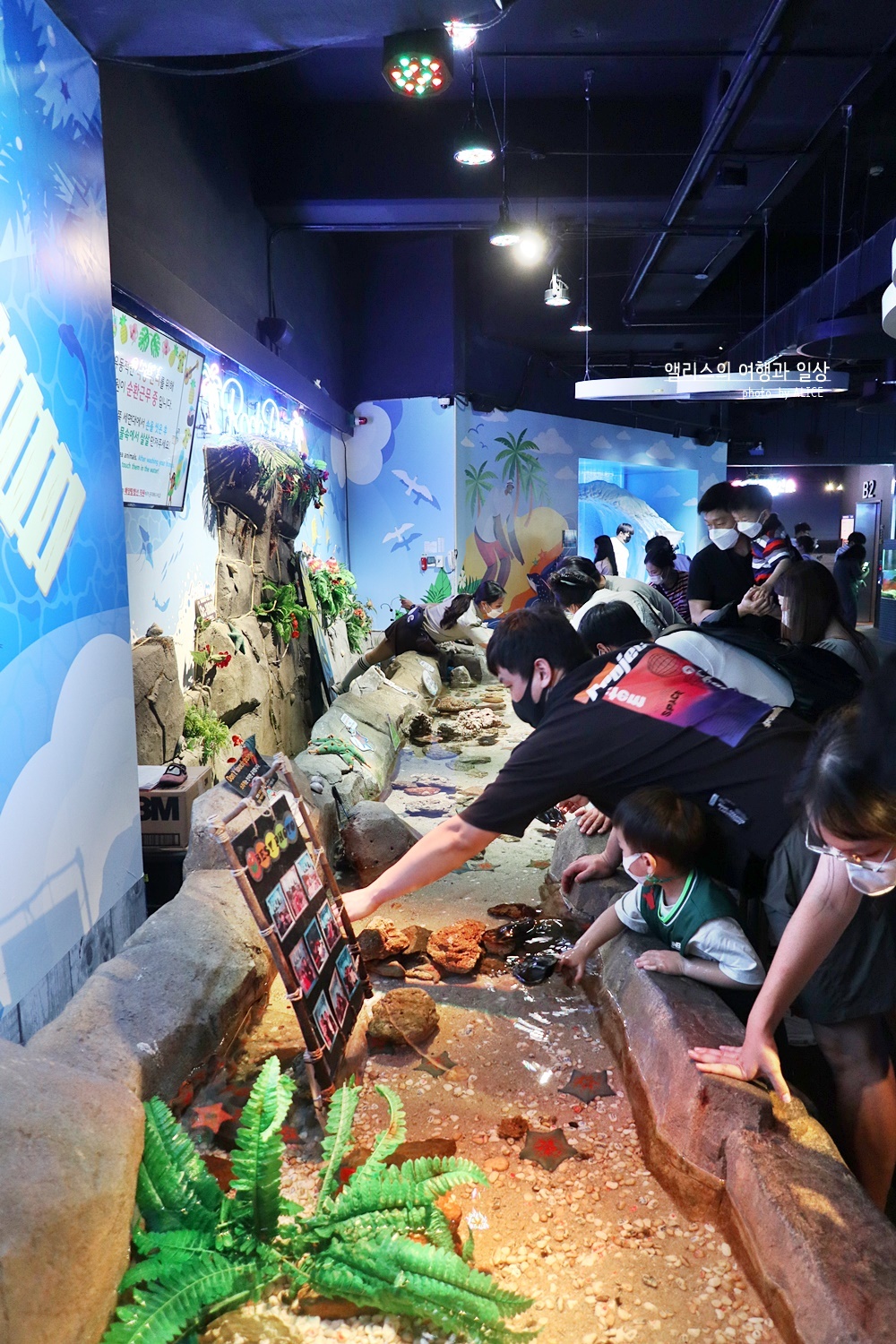 부산 아쿠아리움 입장권 최저가 할인방법, 연간할인, 실내 프로그램