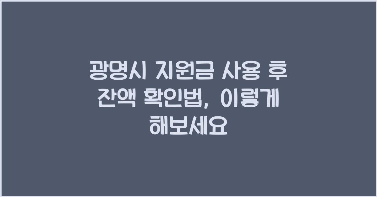 광명시 지원금 사용 후 잔액 확인법