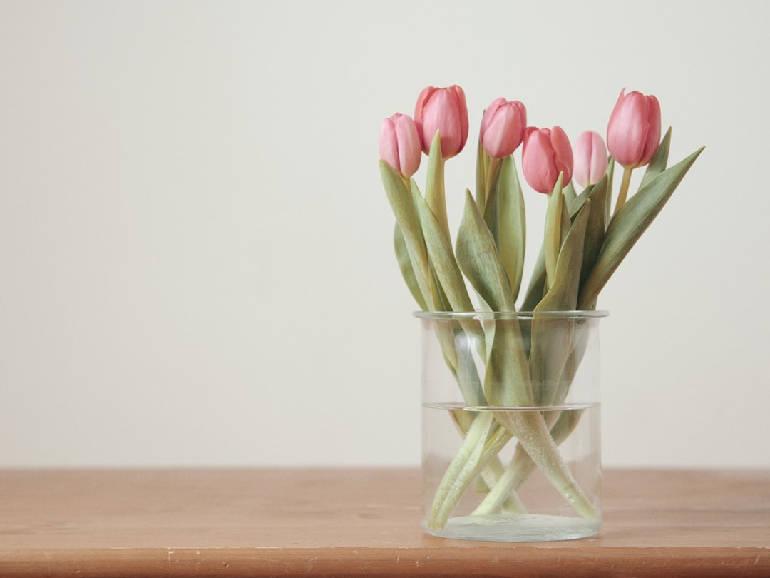 tulip