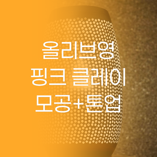 올리브영 핑크 클레이 마스크 팩 후기