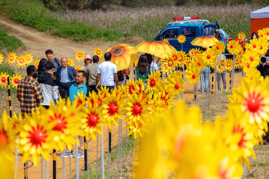 의령 리치리치 페스티벌