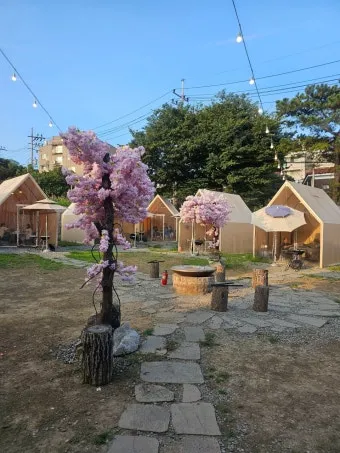 서울 마포 반려동물 캠핑장 도심 속 힐링 명소 가이드_21