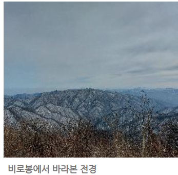 오대산 단풍