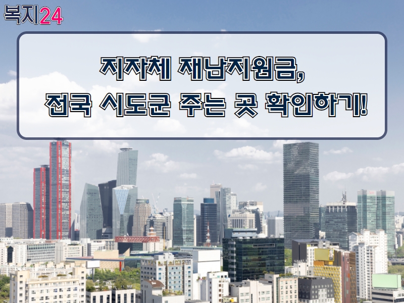 서울경기재난지원금