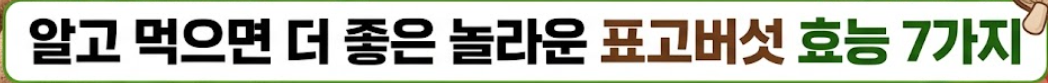 표고버섯 효능