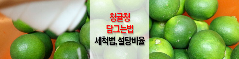 청귤청_담그는법