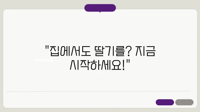 집에서 쉽게 딸기 키우기 딸기 화분 재배 가이드