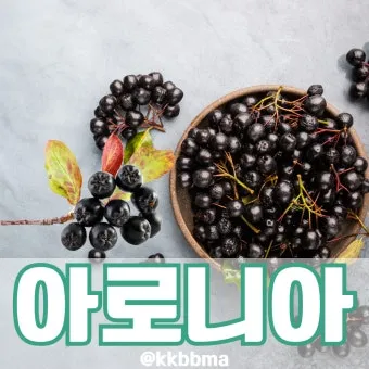 아로니아 먹는 가장 좋은 방법과 생 냉동 분말 활용 팁_19