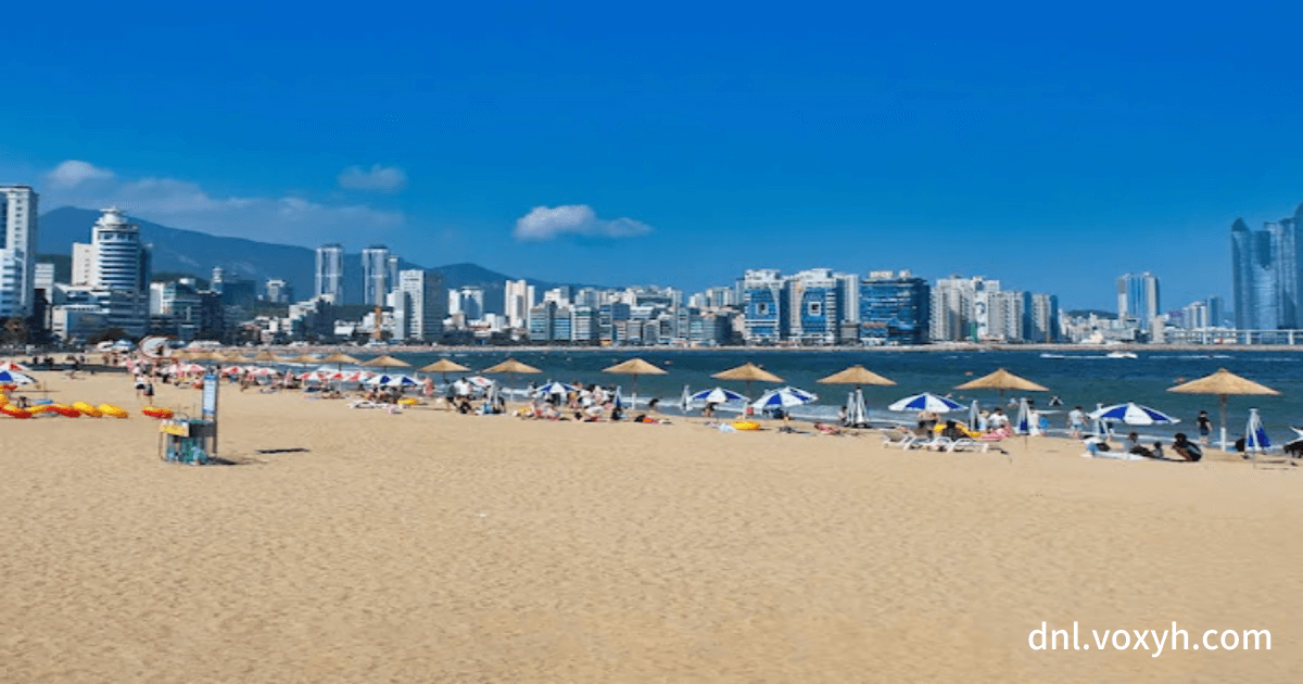 광안리 해수욕장