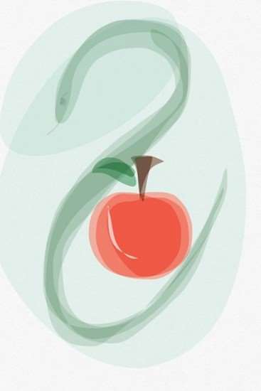 2026년 병오년 뱀띠 운세 총정리|무료 신년운세 보는 방법