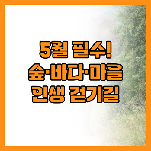 5월 걷기 좋은 여행지 추천 숲과 바..