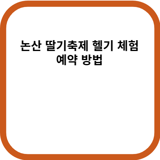 논산 딸기축제 헬기 체험 예약 방법