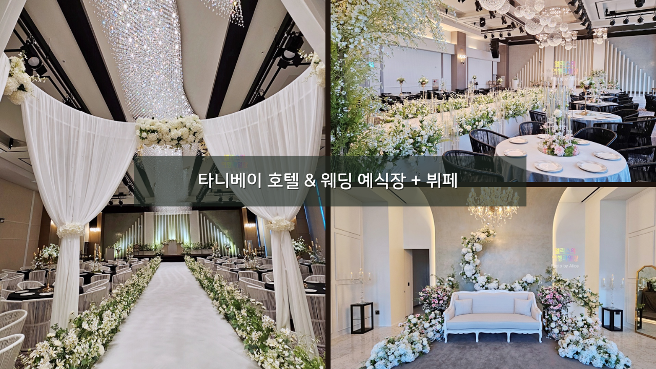 울산 오션뷰 웨딩홀 결혼식장 투어 타니베이 호텔 & 웨딩 예식장 + 뷔페 후기