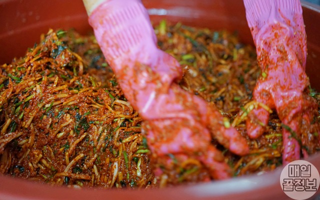 썩은 생강 구별법 하얀곰팡이, 상한 생강 구별법, 김치 간암 원인, 건강 팁줌 매일꿀정보