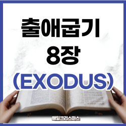 출애굽기 8장 1-32절 요약 [구약성경문제]