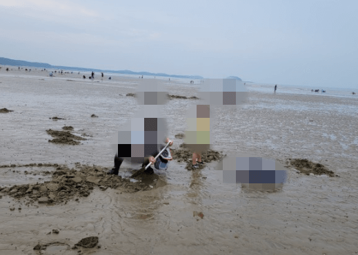 달산포해수욕장에서-조개체험