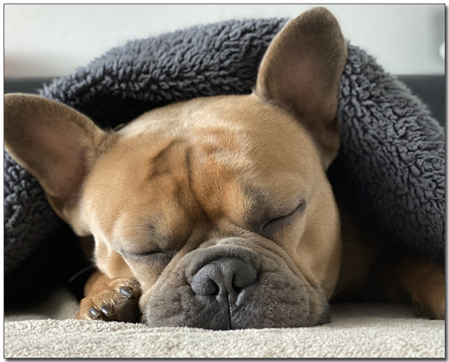 ์๊ณ ์๋ ํ๋ ์น ๋ถ๋