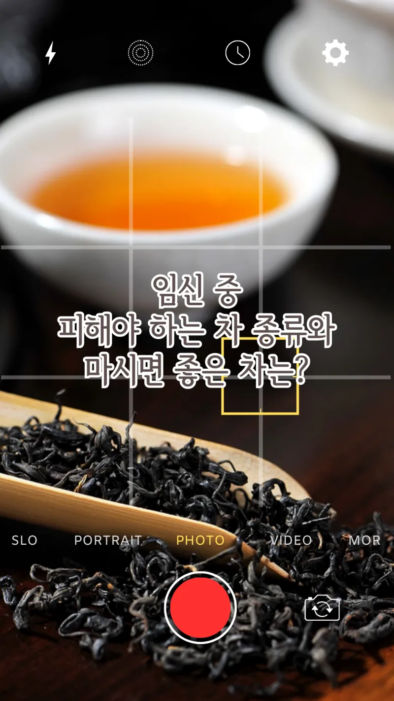 임신 중 마시면 좋은 차는?