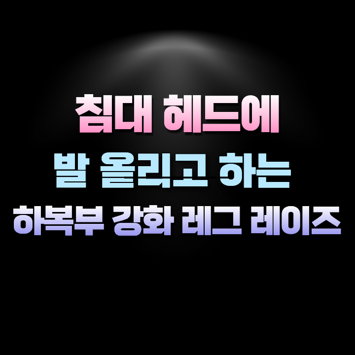 하복부강화레그레이즈