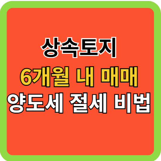 상속토지 6개월 내 매매 양도세 절세 비법!