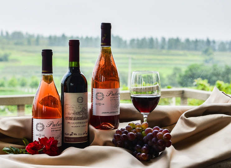 음식과 음악: 요리와 리듬의 공통점