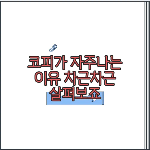 코피가 자주나는 이유 차근차근 살펴보죠