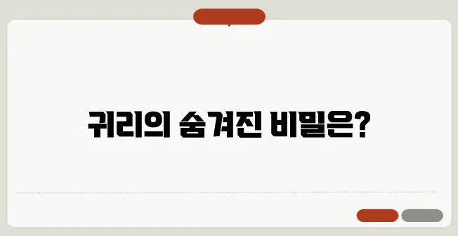 귀리 효능과 섭취 방법 다이어트와 콜레스테롤 관리에 좋은 식품