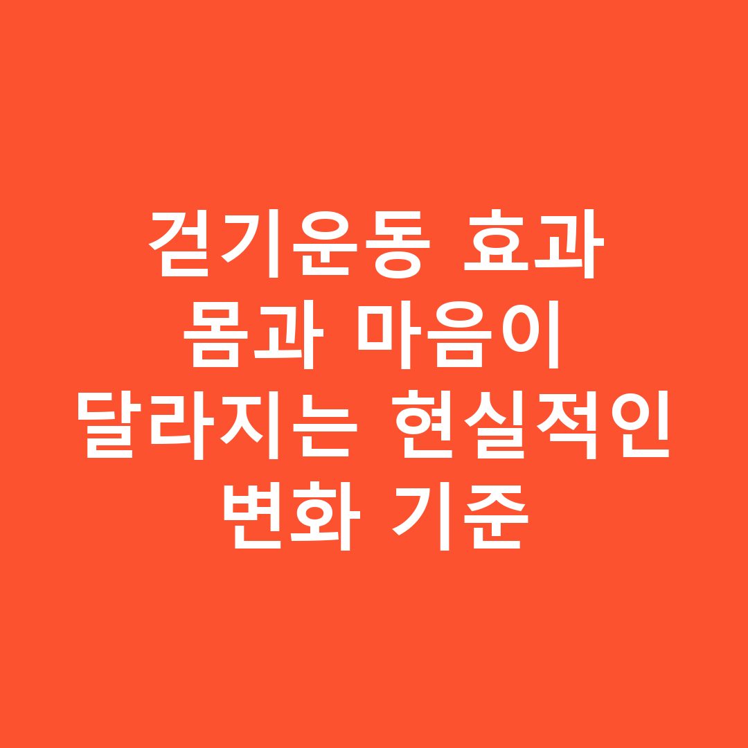 걷기운동 효과 몸과 마음이 달라지는 현실적인 변화 기준