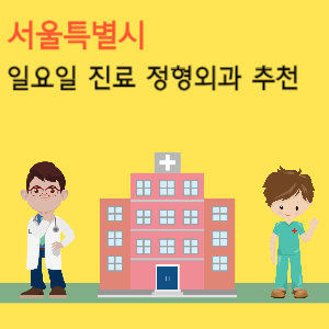 서울 일요일 진료 정형외과 추천