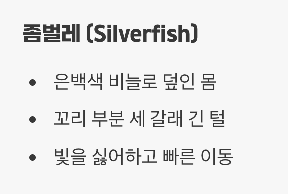 옷장 속의 은빛 유령&amp;#44; &amp;#39;좀벌레(Silverfish)&amp;#39;