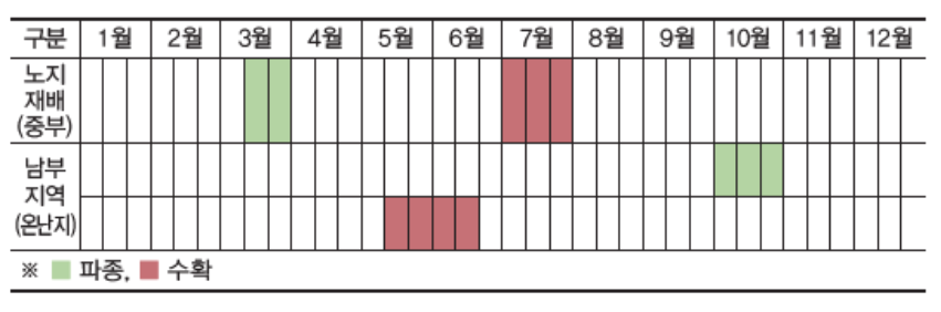 완두콩 심는 시기, 효능, 파종 방법, 재배법, 수확 방법 알아보기