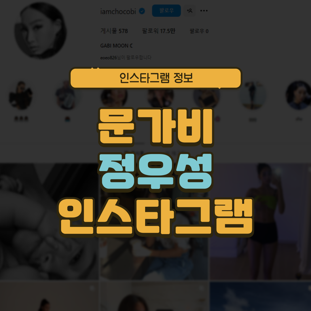 문가비 인스타그램, 정우성 인스타그램