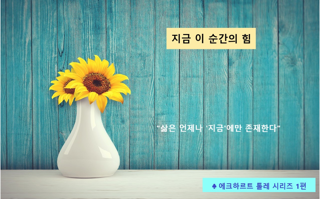 지금 이 순간의 힘, 에크하르트 톨레 관련 이미지