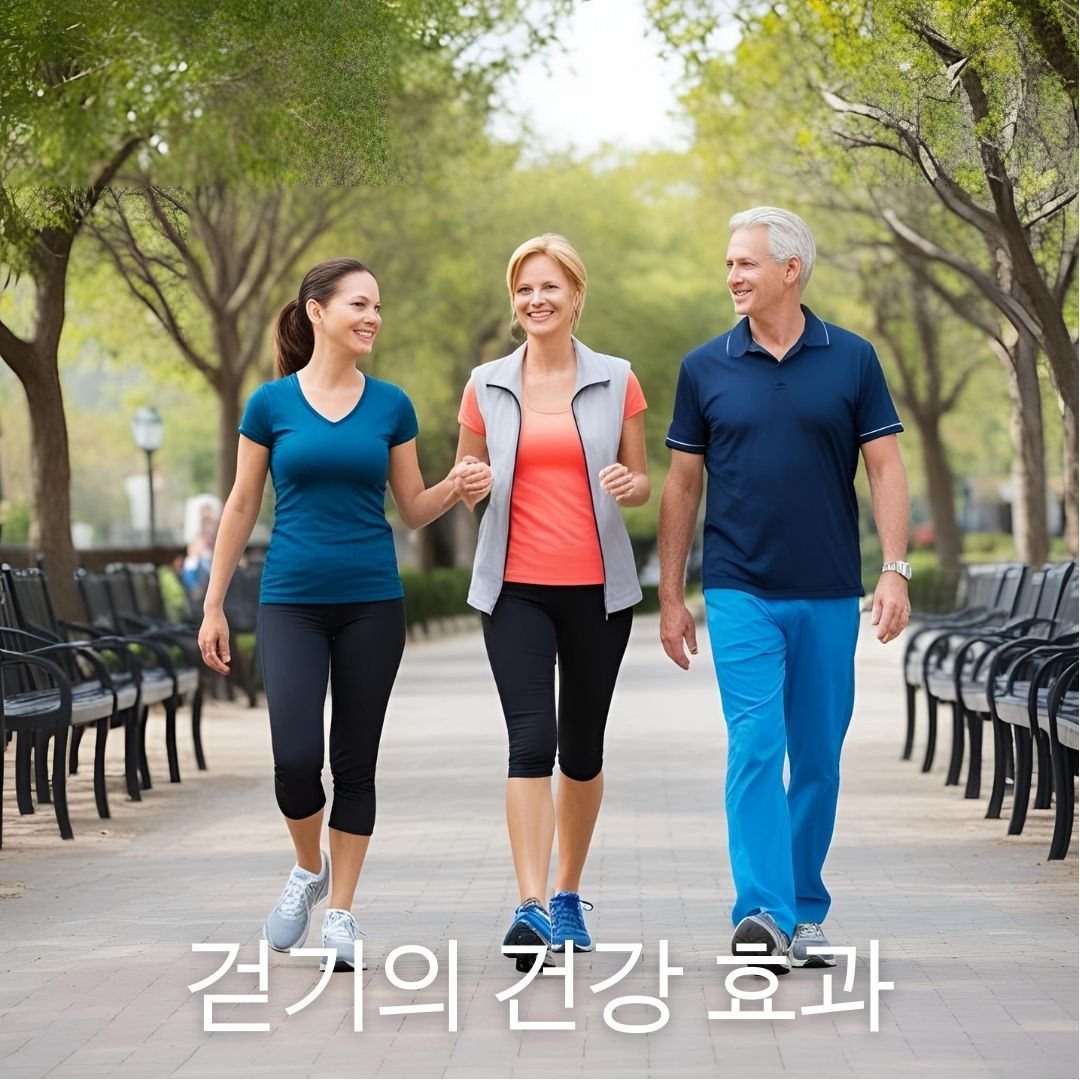 걷기의 건강 효과