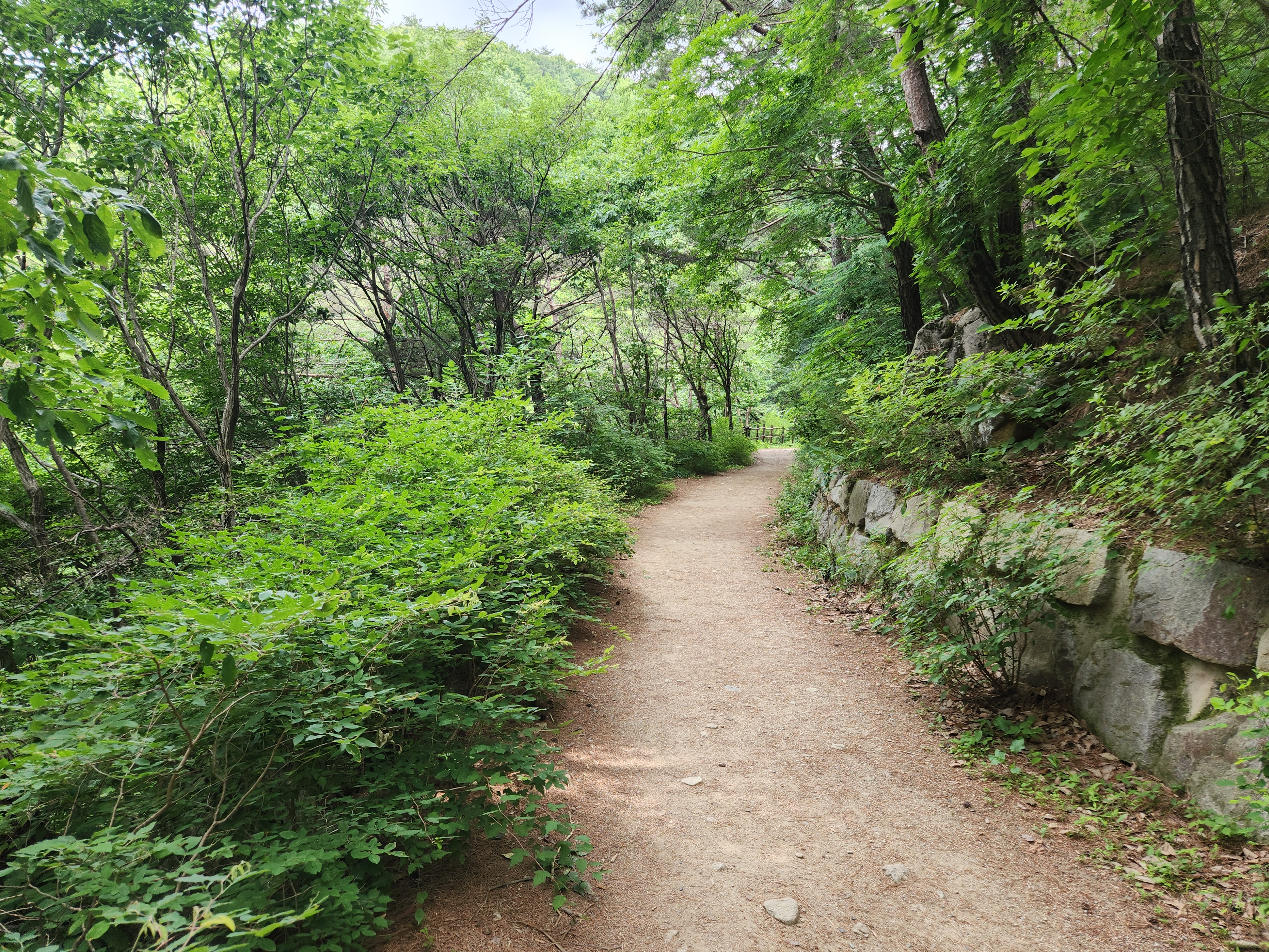 팔공산 수태골 등산 (8)