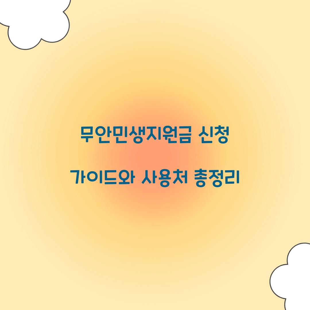 무안민생지원금