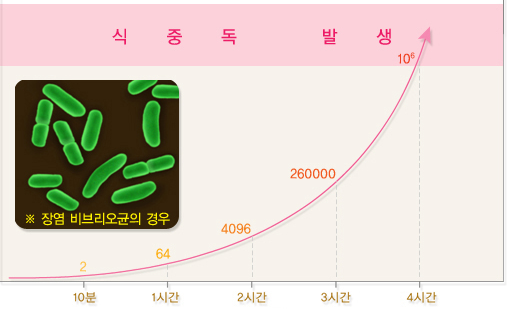 식중독 증상, 자가진단, 증상완화방법, 원인과 예방법, 치료법