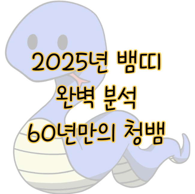 2025년 뱀띠 운세 완벽 분석 ❘ 60년 만에 찾아오는 청뱀 표지