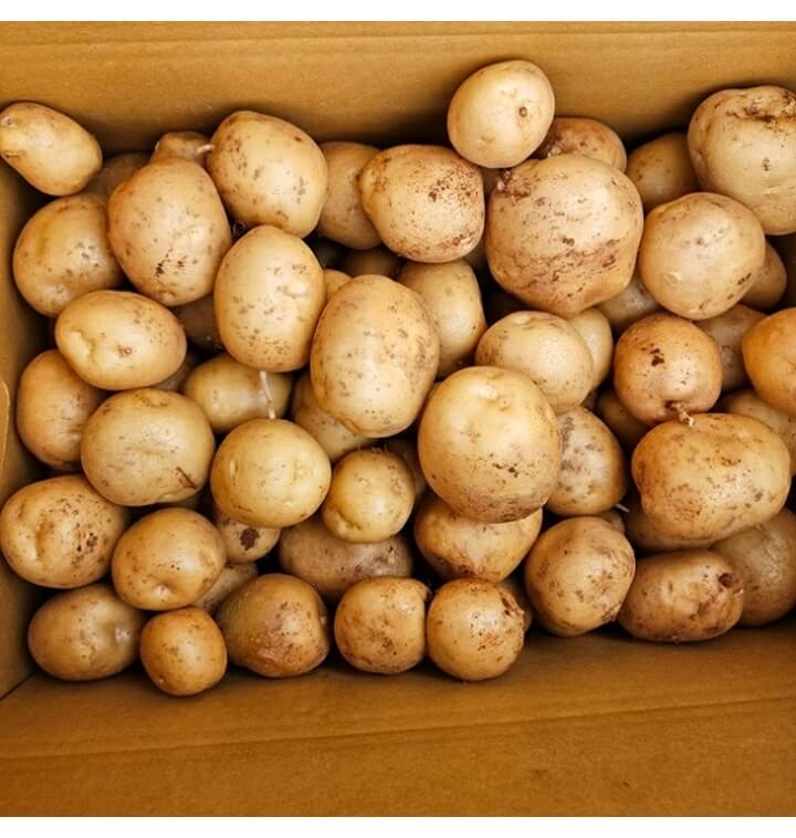 마성면 황토 감자