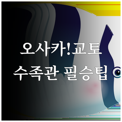 교토 오사카 수족관 선택 가이드 여행..