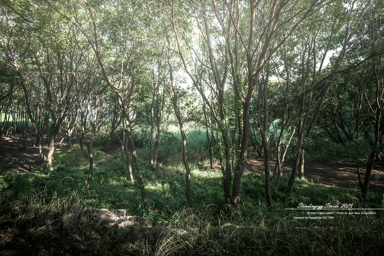 #청주 #오송 #호수공원 #오송호수공원